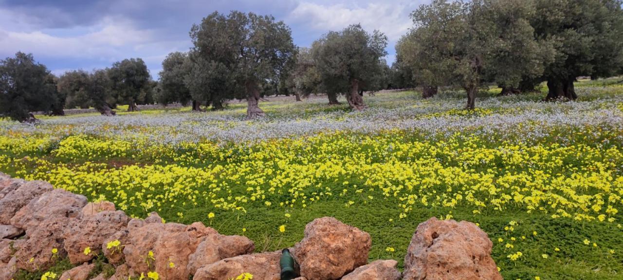 Masseria Verbena Apartment Monopoli